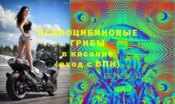 spice Балахна