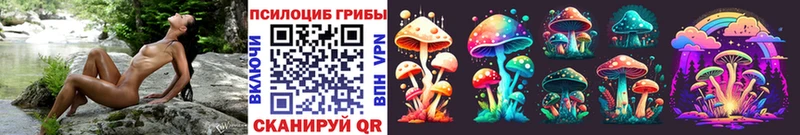 Галлюциногенные грибы Psilocybine cubensis  mega онион  Углегорск 